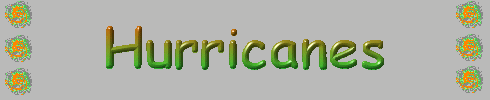 Hurricane Banner