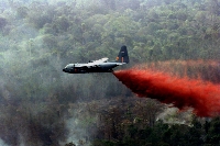 Putting out a 
wildfire