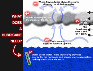 Hurricane_formation