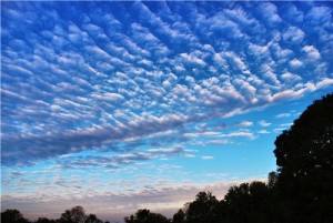 altocumulus-clouds