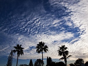 cirrocumulus-clouds