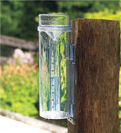 http://www.weatherwizkids.com/wp-content/uploads/2015/02/rain-gauge.jpg