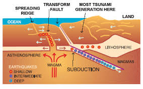 how tsunamis form