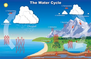 watercycle2