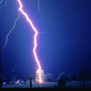 Lightning-hits-tree