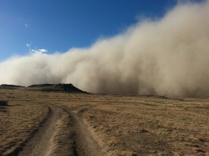 haboob