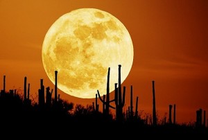 moon_supermoon