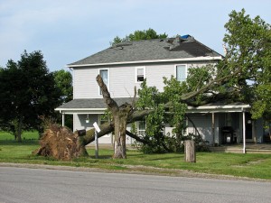 wind-damaging1