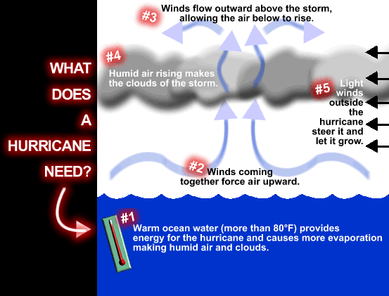 Hurricane Winds Chart