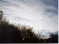 Cirrostratus Clouds