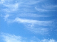 Cirrus Clouds