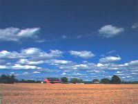 Cumulus Clouds