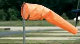 Windsock